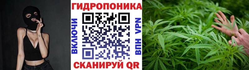 shop наркотические препараты  купить наркотик  Ачинск  Каннабис ГИДРОПОН 